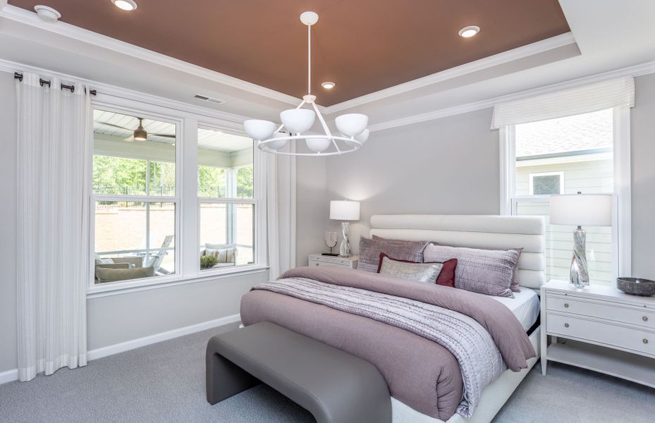 Owner's Suite with Tray Ceiling