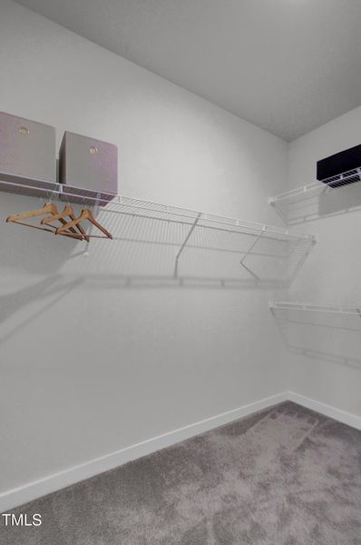 P_CHS_TTT_Balfour_Model_INT_PCL