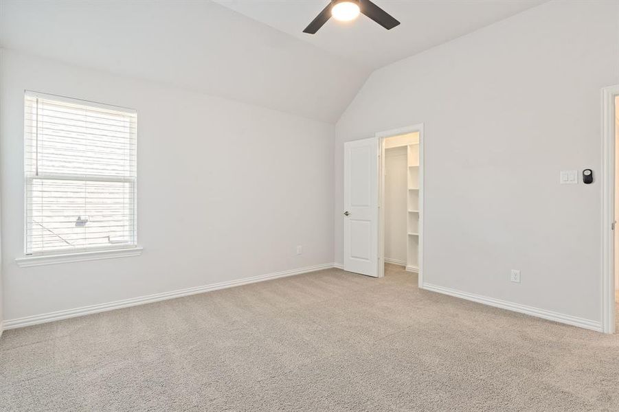 Secondary bedroom with light carpet, a walk in closet, ceiling fan