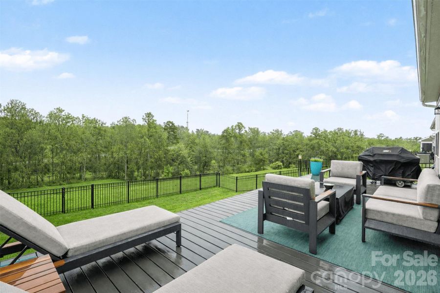 Trex deck added- digitally enhanced trees to show summer coverage