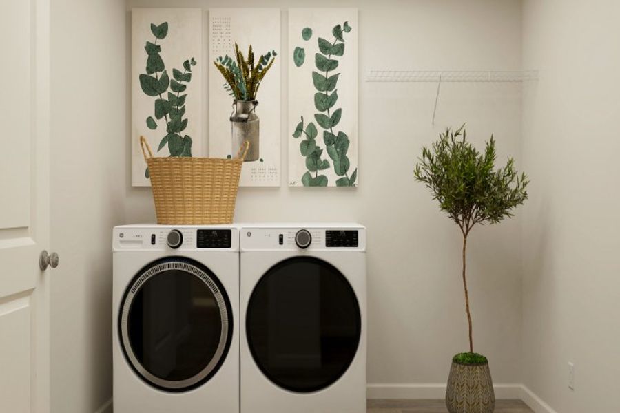 A white wall with a plant and a washing machine. A white wall with a plant and a washing machine.