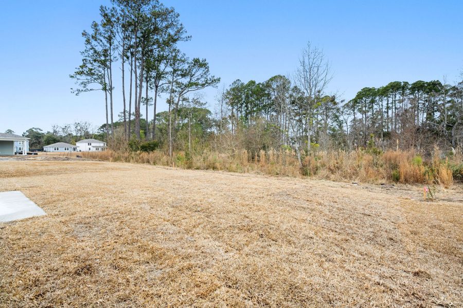 Natural landscape and outdoor views near Salem Bay in Beaufort (Image 45).
