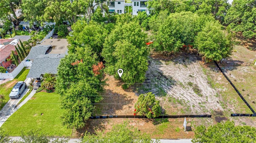 Natural landscape and outdoor views near in Tampa (Image 6). Natural landscape and outdoor views near in Tampa (Image 6).