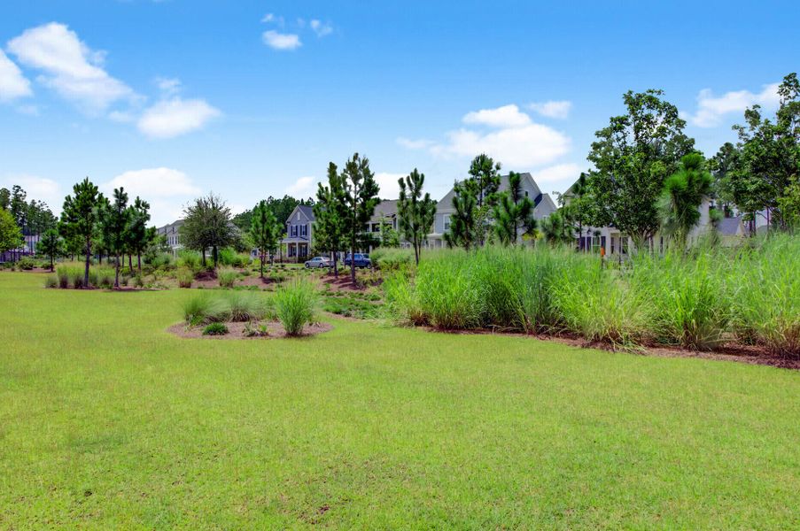 Natural landscape and outdoor views near  in Summerville (Image 52).