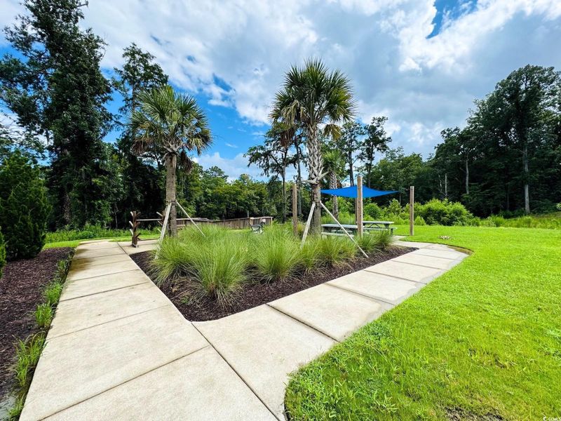 Image 19 of a home in Grissett Landing. Image 19 of a home in Grissett Landing.