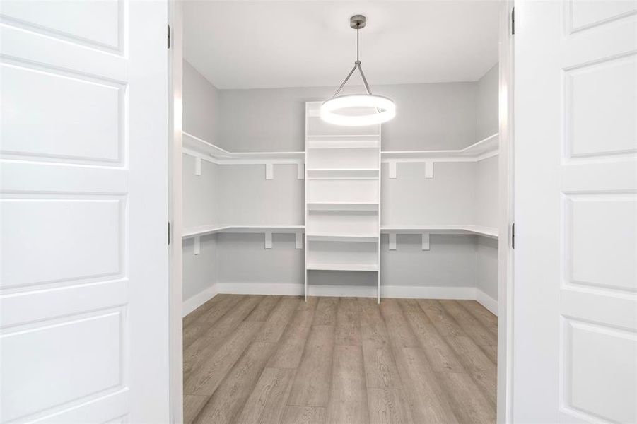 Walk in closet with light hardwood / wood-style flooring