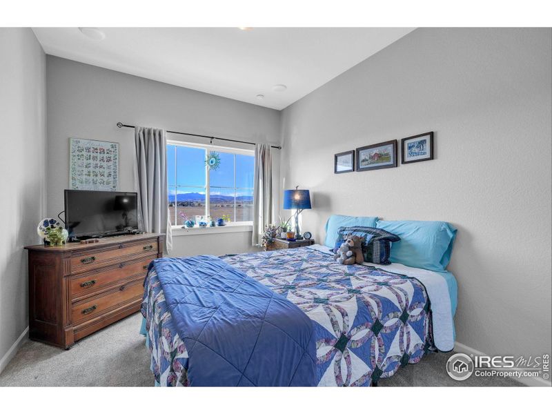 Second Bedroom Second Bedroom