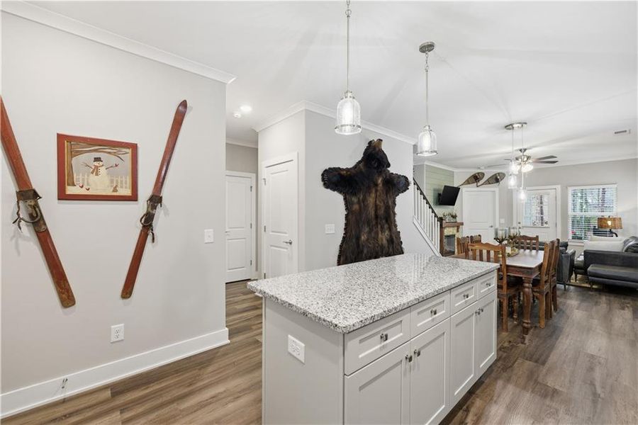 Furnished interior view inside a new home in , Waleska (Image 10). Furnished interior view inside a new home in , Waleska (Image 10).