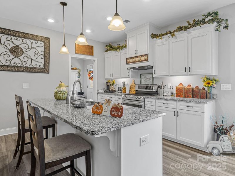 Furnished interior view inside a new home in , Chesnee (Image 23).