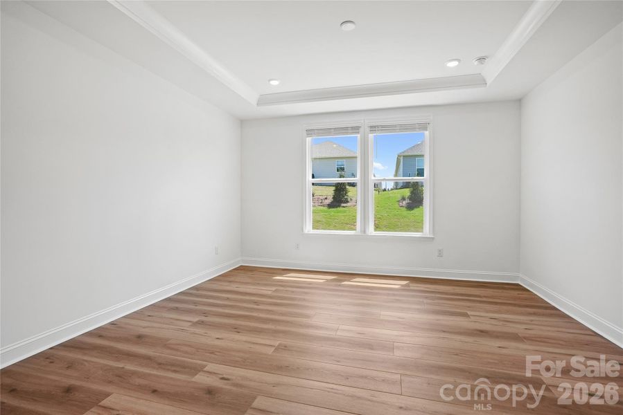 Primary bedroom with tray ceiling detail