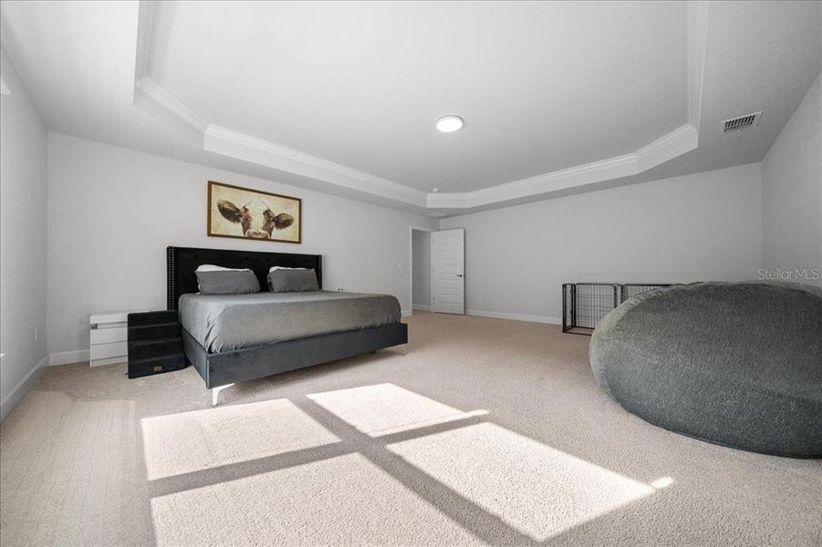 Furnished interior view inside a new home in , Ocala (Image 44). Furnished interior view inside a new home in , Ocala (Image 44).