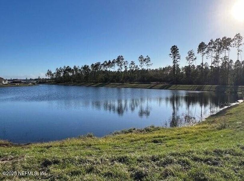 Natural landscape and outdoor views near Sawmill Branch in Palm Coast (Image 46). Natural landscape and outdoor views near Sawmill Branch in Palm Coast (Image 46).