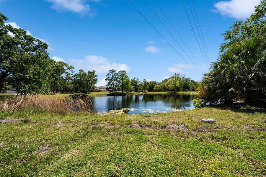 Natural landscape and outdoor views near in Tarpon Springs (Image 26). Natural landscape and outdoor views near in Tarpon Springs (Image 26).