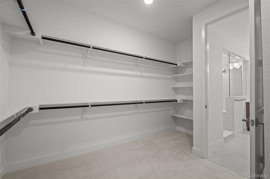 Spacious, unfurnished interior of a new home in Trailside at Cottonwood Creek, Colorado Springs (Image 20).