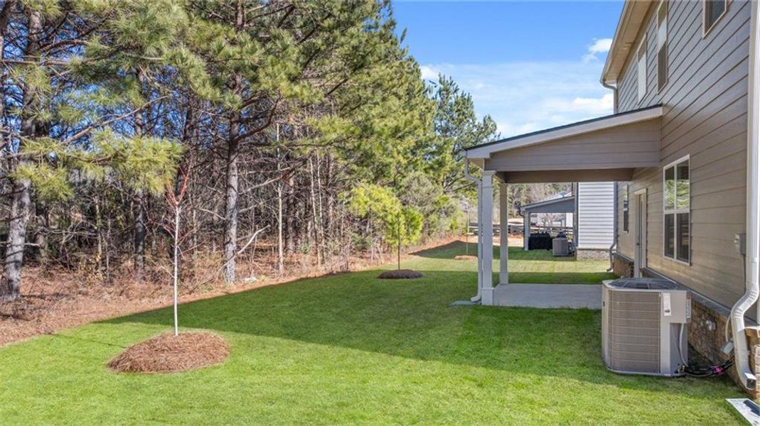 Exterior details and patio area of a home in Bridle Creek, Locust Grove (Image 25).