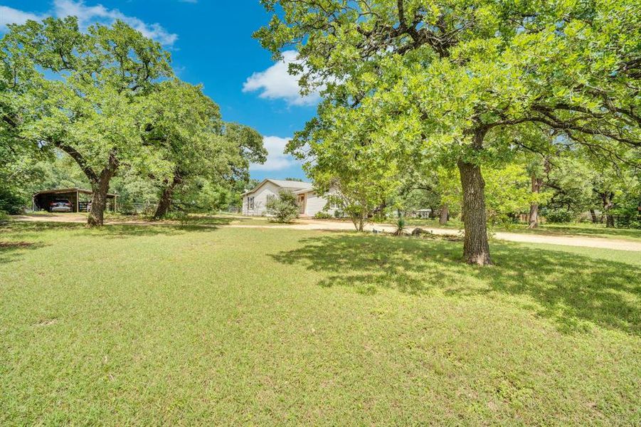 Natural landscape and outdoor views near  in Cleburne (Image 23).