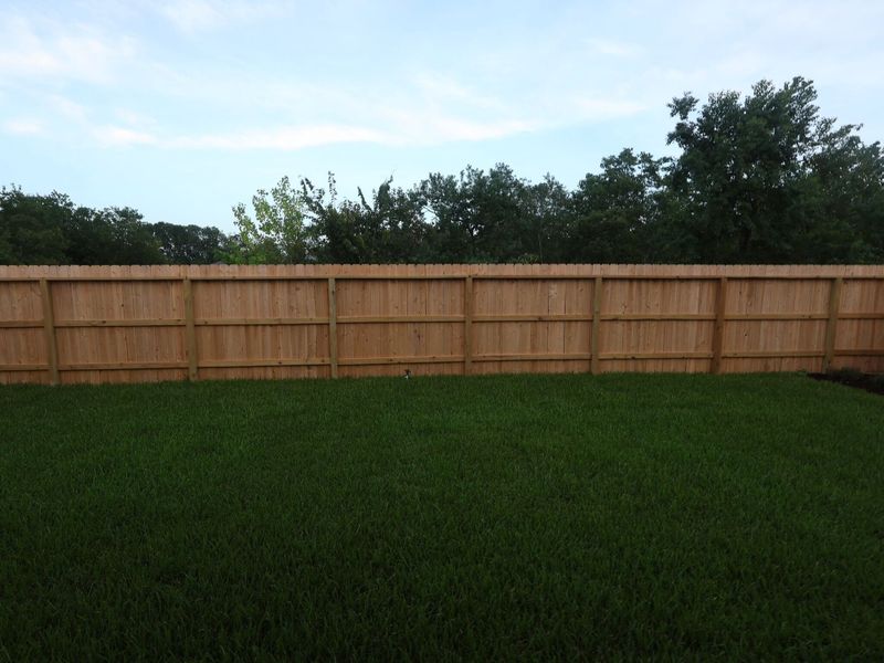 Backyard