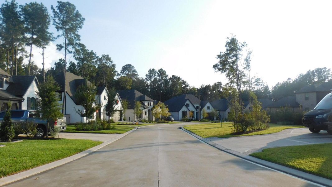 Very Nice Street View