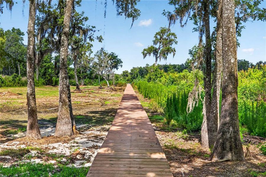 Natural landscape and outdoor views near  in Dade City (Image 64).