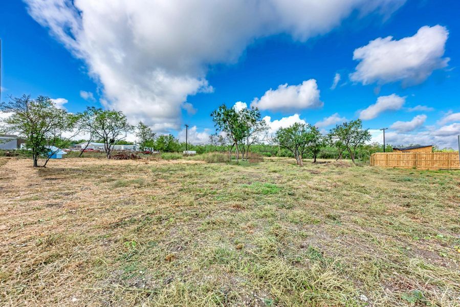 Mature trees dot this level, grassy acreage beneath wide open skies.