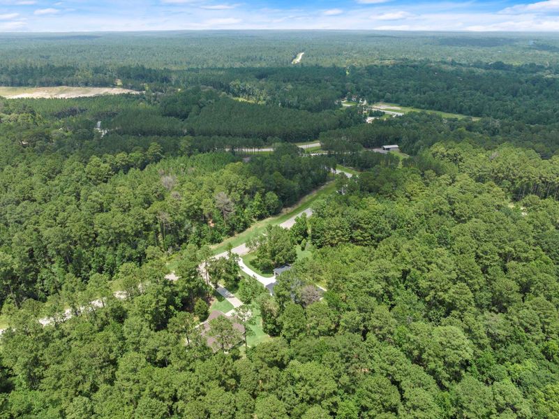 Natural landscape and outdoor views near  in New Waverly (Image 42).