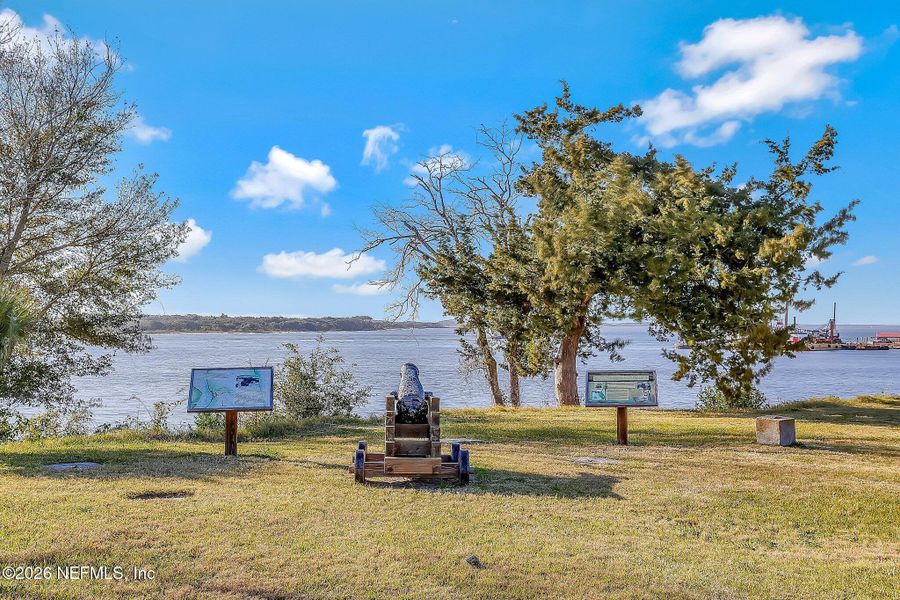 Natural landscape and outdoor views near  in Fernandina Beach (Image 40).