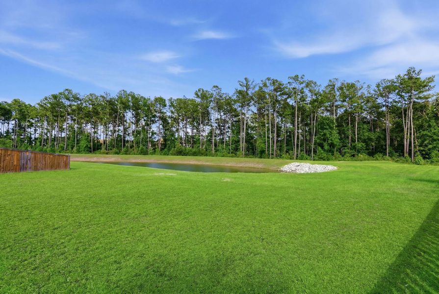 Natural landscape and outdoor views near Cypress Preserve in Moncks Corner (Image 34). Natural landscape and outdoor views near Cypress Preserve in Moncks Corner (Image 34).