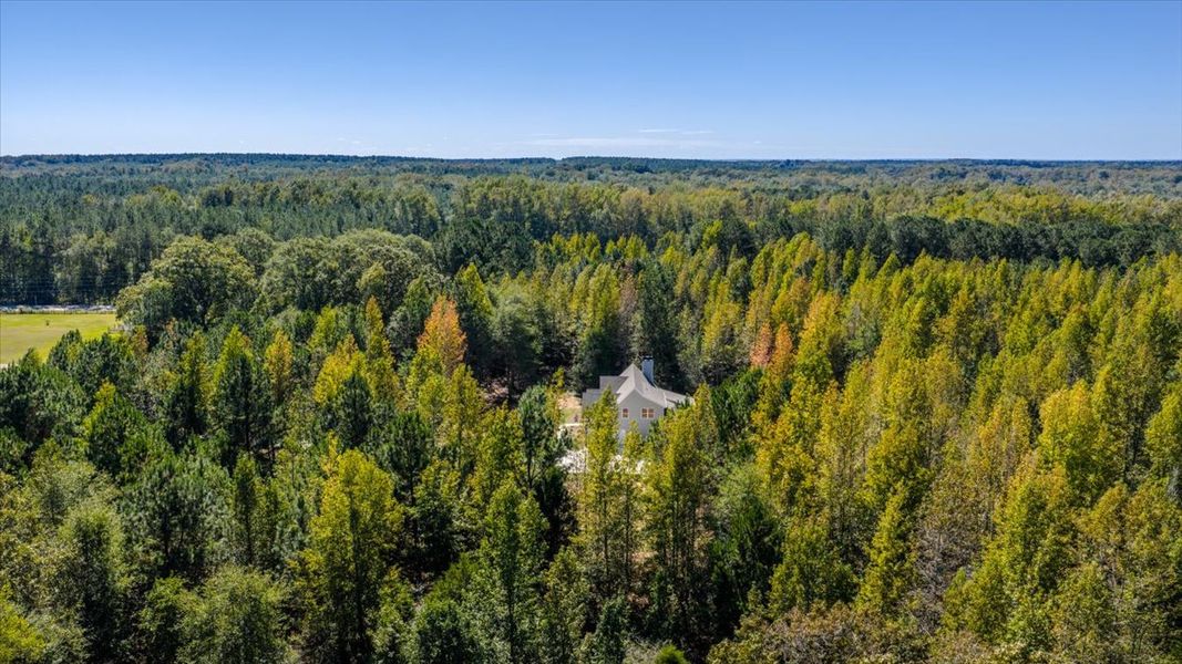 Natural landscape and outdoor views near Collier Grove in Thomaston (Image 40).