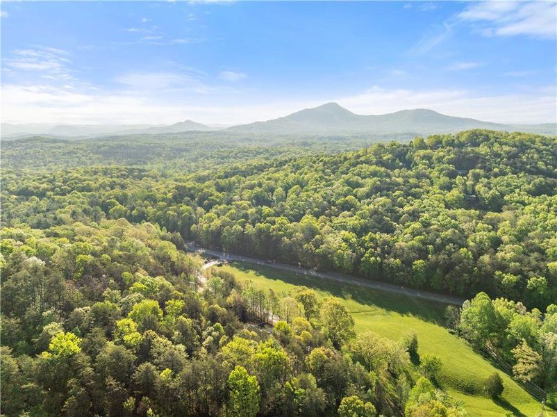 Natural landscape and outdoor views near  in Cleveland (Image 31).
