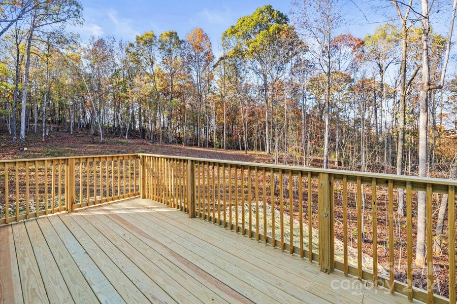 Expansive back deck