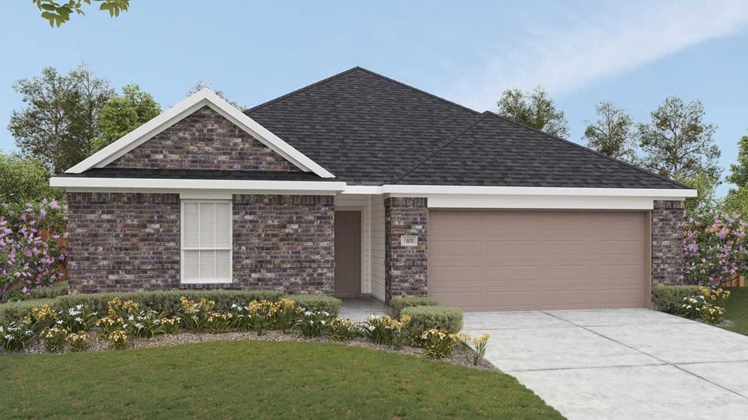 Elevation M Elevation M