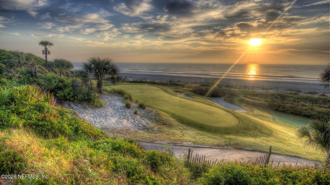 Natural landscape and outdoor views near Liberty Cove in Yulee (Image 19).
