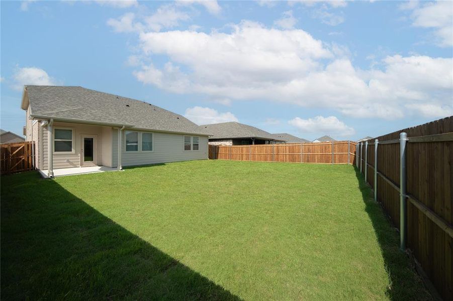 Backyard Backyard