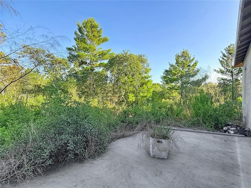 Natural landscape and outdoor views near  in Poinciana (Image 39).