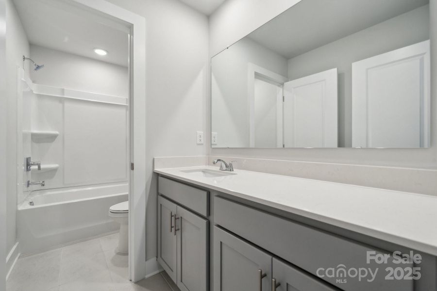 Representative picture