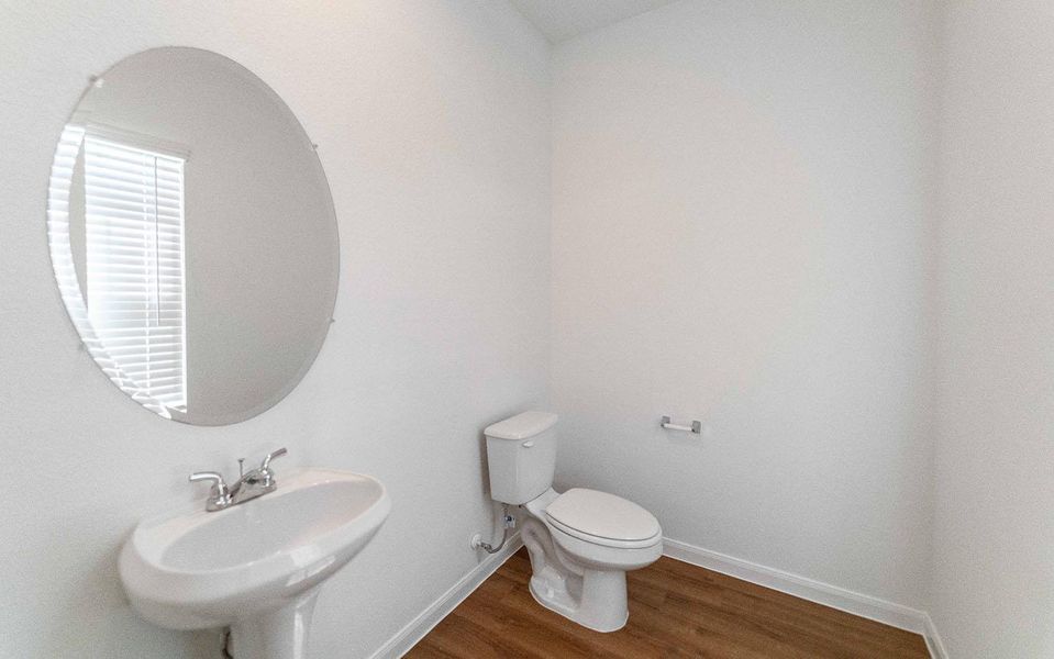 Bathroom featuring toilet and dark wood-style floors Bathroom featuring toilet and dark wood-style floors