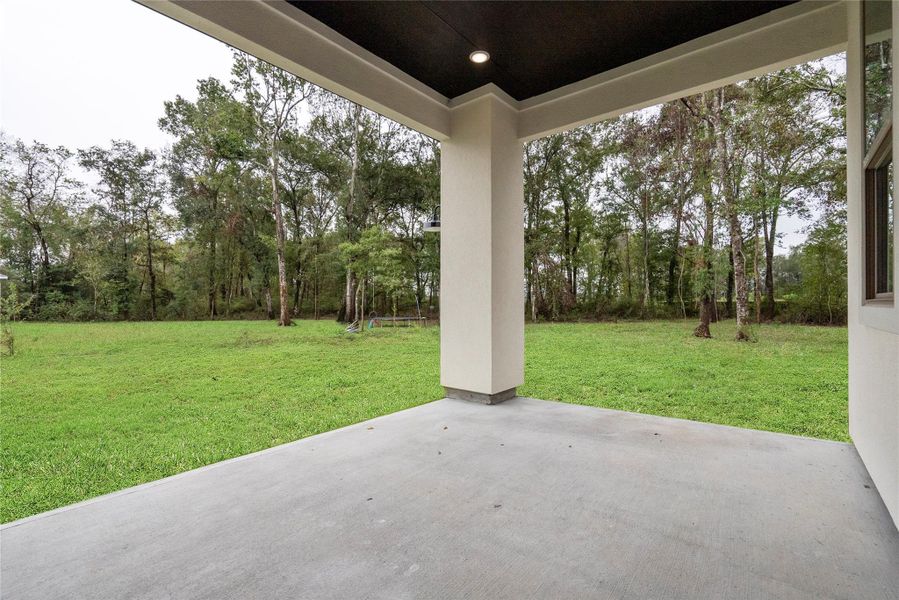 Covered back Patio - Perfect for summer BBQs Covered back Patio - Perfect for summer BBQs