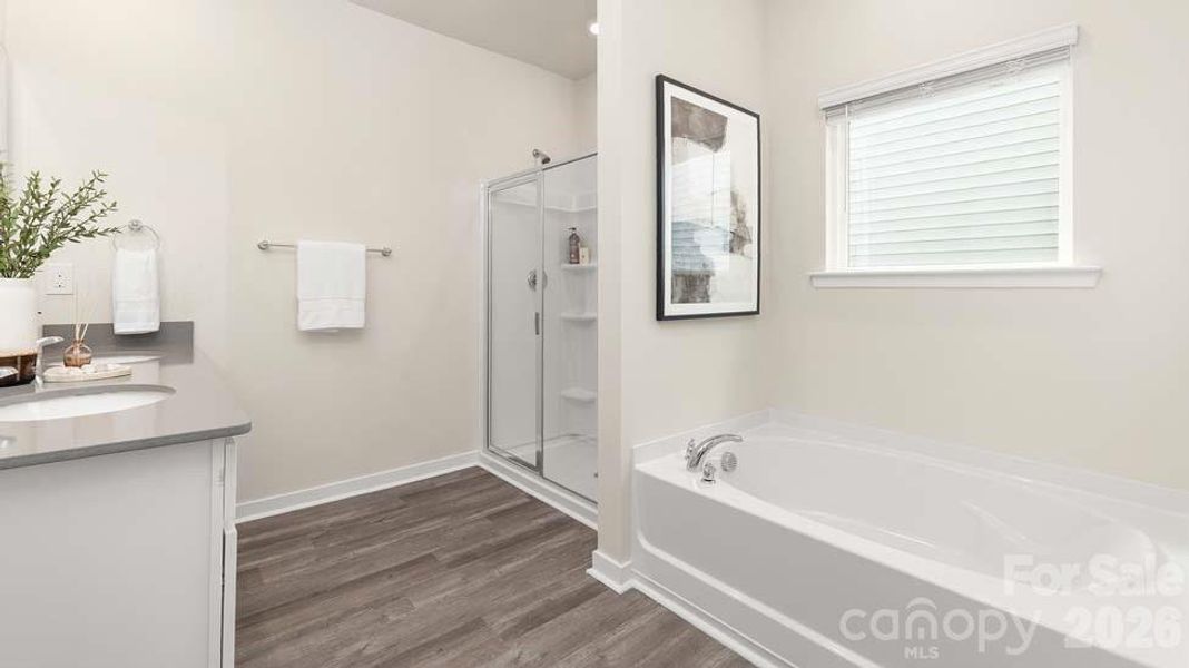 Photos are representative