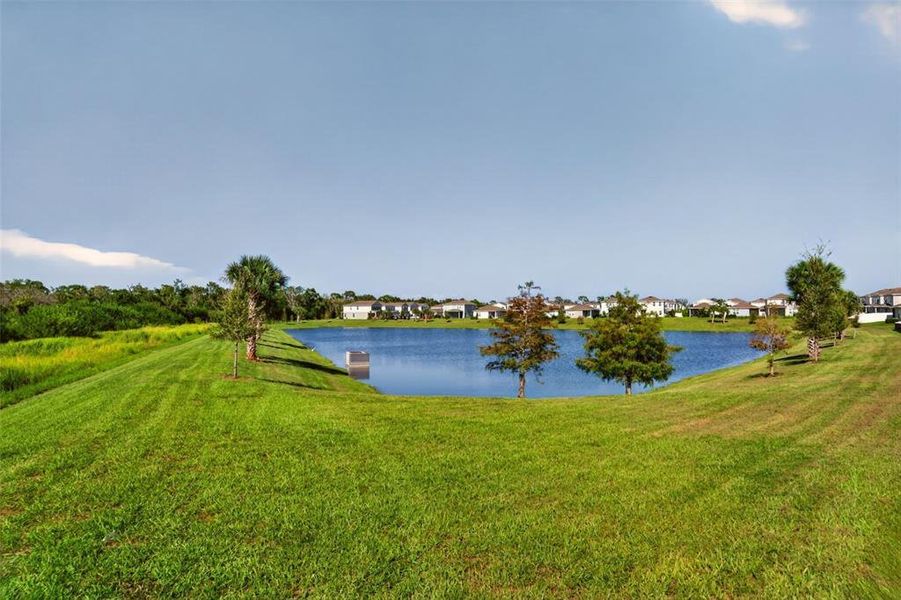 Natural landscape and outdoor views near  in Lakewood Ranch (Image 48).