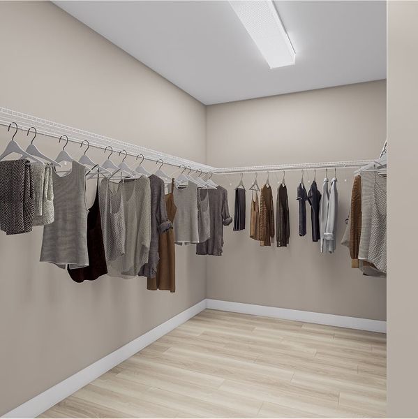 Silverstone owners closet