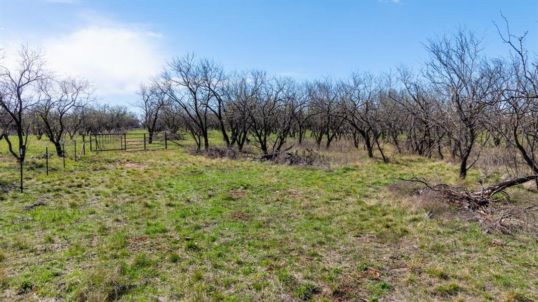 Natural landscape and outdoor views near  in Early (Image 32).