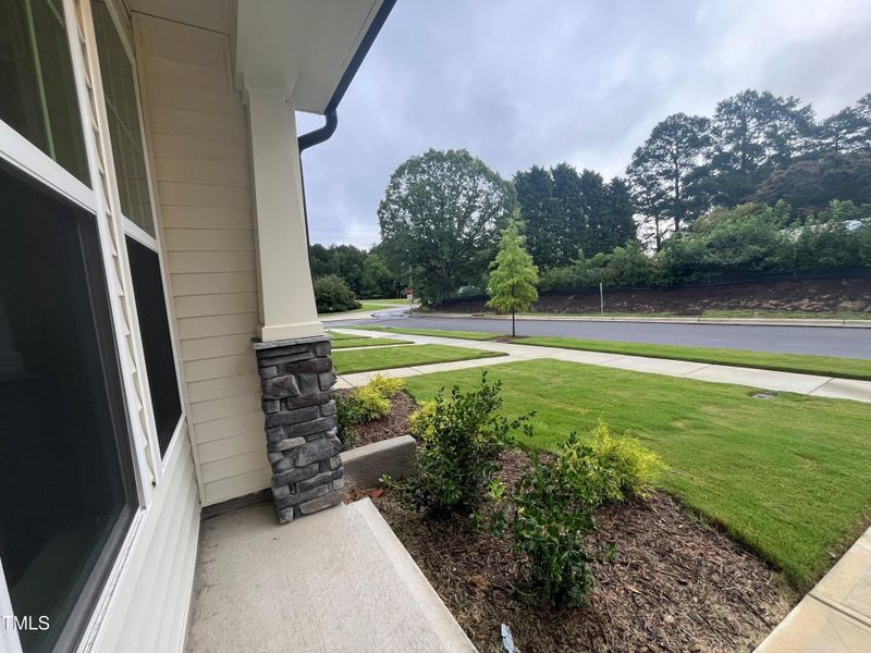 View of trees from Entrancee