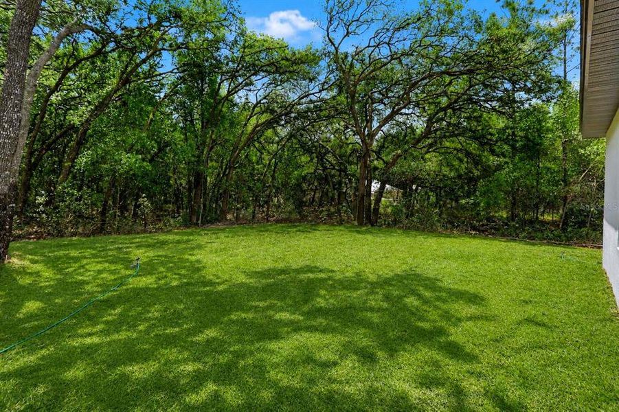 Natural landscape and outdoor views near  in Citrus Springs (Image 36).