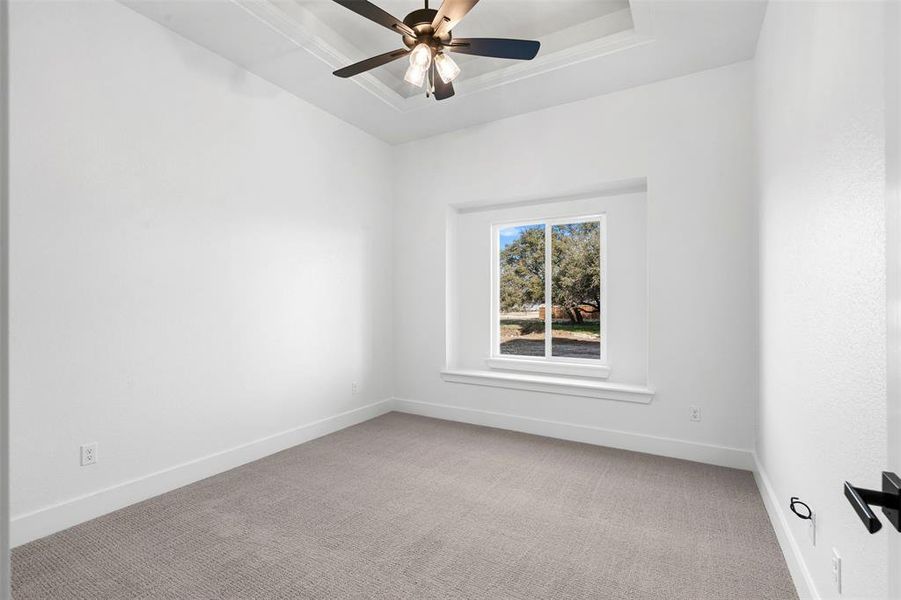 Carpeted spare room with a raised ceiling and ceiling fan