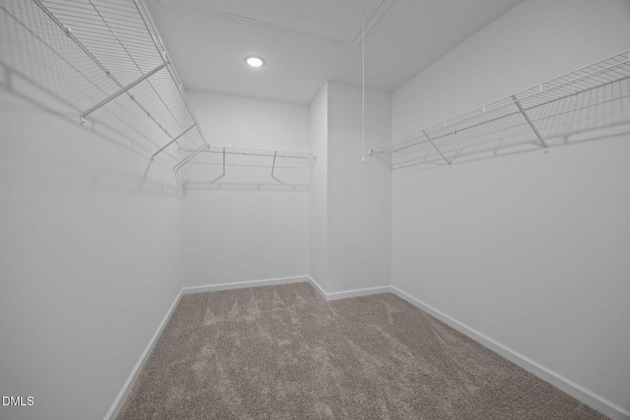 24-web-or-mls-6S8A6988