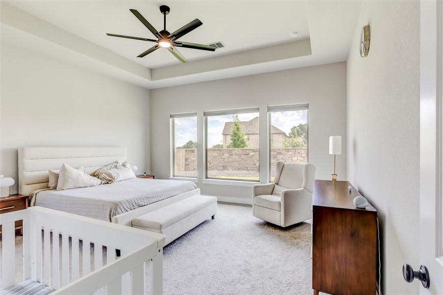 A spacious chamber features a tray ceiling, plush carpeting, and generous windows.