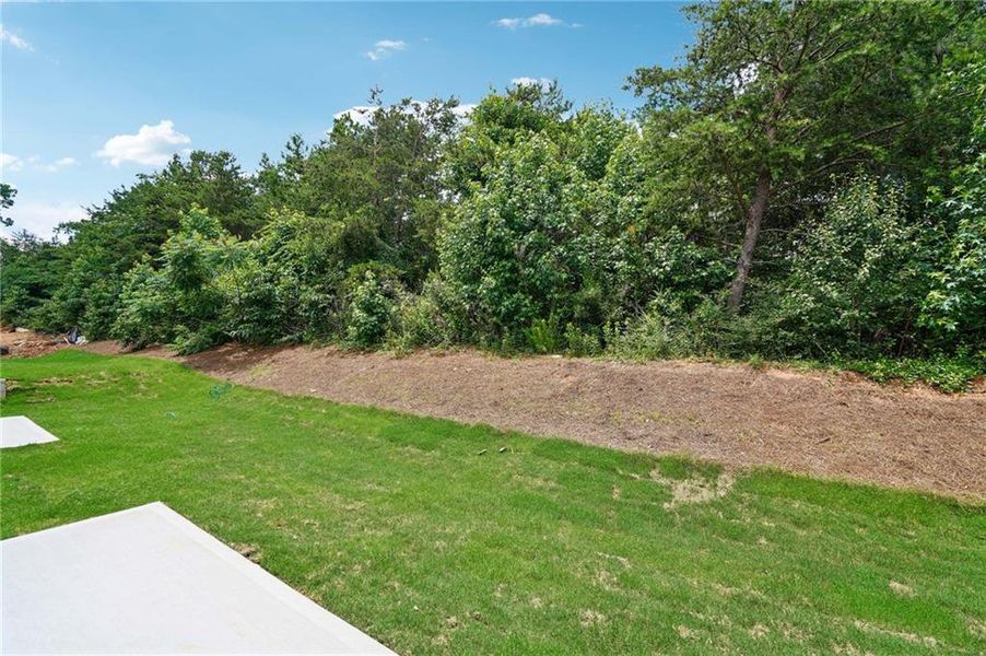 Natural landscape and outdoor views near Artisan Walk in Fairburn (Image 32).