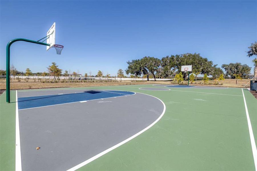 Community amenities in The Grove at Stuart Crossing - Premier Series, Bartow (Image 47).