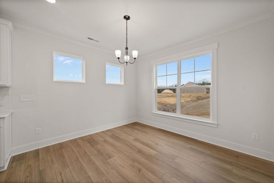 Spacious, unfurnished interior of a new home in Wexford, Elon (Image 36).