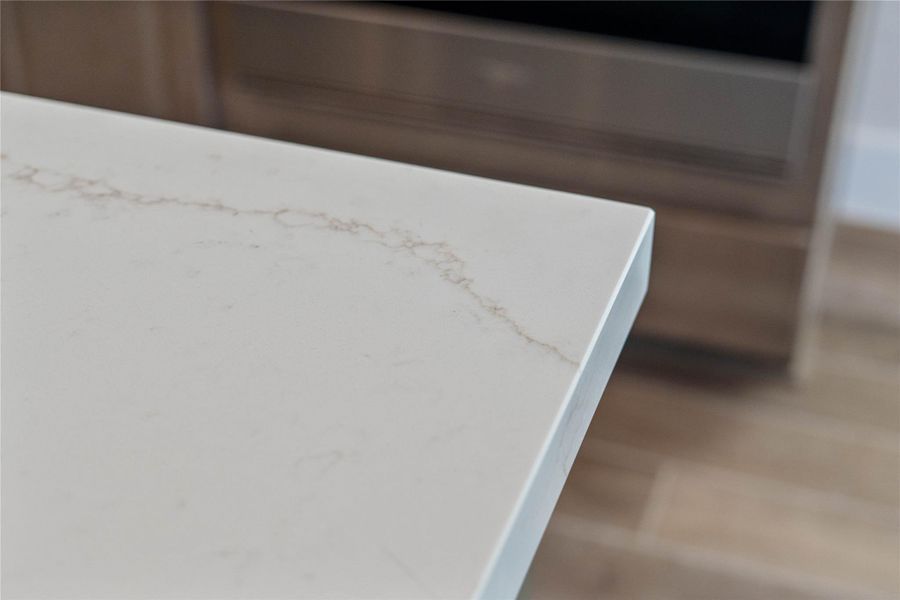 Close-up of interior finishes inside a home in ARTAVIA, Conroe (Image 17).